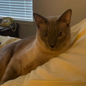 Meet your Posher, Carrie